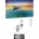 不變vs.改變