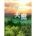 聖頌選集(11)-聲達天庭