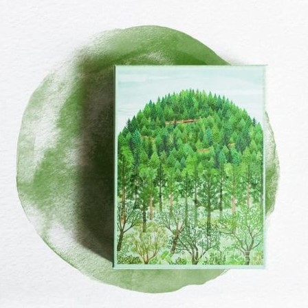 種籽拼圖—獨立山