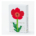 2027Good Morning日本立體桌曆｜Flowers